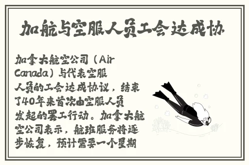 俏佳人天天看高清影院